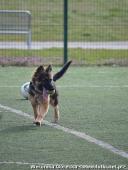 2014.04.06 - GRAMY DLA DOMINIKA