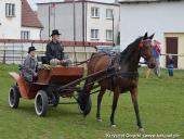 2014.10.11 - HUBERTUS 2014