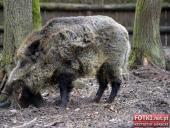 2015.05.01-03 - MIĘDZYZDROJE