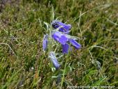 2014.06.28-07.06 - ZAKOPANE