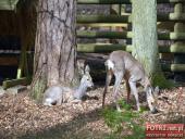 2015.05.01-03 - MIĘDZYZDROJE