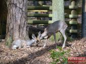 2015.05.01-03 - MIĘDZYZDROJE