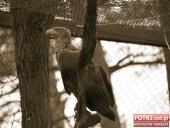 2015.05.01-03 - MIĘDZYZDROJE