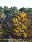 2014.11.02 - ŁAGÓW JESIENIĄ