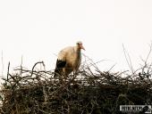 2025.05.31 - KRUTLA I OKOLICE