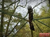 2015.05.01-03 - MIĘDZYZDROJE