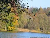 2014.11.02 - ŁAGÓW JESIENIĄ