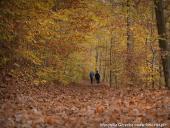 2014.11.02 - ŁAGÓW JESIENIĄ