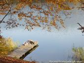 2014.11.02 - ŁAGÓW JESIENIĄ