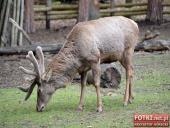 2015.05.01-03 - MIĘDZYZDROJE