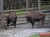 2015.05.01-03 - MIĘDZYZDROJE