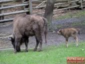 2015.05.01-03 - MIĘDZYZDROJE