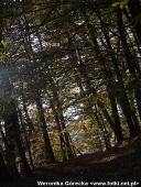 2014.11.02 - ŁAGÓW JESIENIĄ