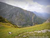 2014.06.28-07.06 - ZAKOPANE
