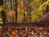 2014.11.02 - ŁAGÓW JESIENIĄ