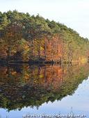 2014.11.02 - ŁAGÓW JESIENIĄ