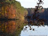 2014.11.02 - ŁAGÓW JESIENIĄ