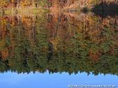 2014.11.02 - ŁAGÓW JESIENIĄ