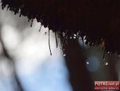 2015.05.01-03 - MIĘDZYZDROJE