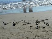 2014.08.23-30 - RZYM