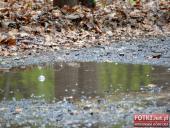 2015.05.01-03 - MIĘDZYZDROJE