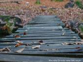 2014.11.02 - ŁAGÓW JESIENIĄ