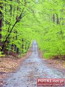 2015.05.01-03 - MIĘDZYZDROJE