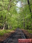 2015.05.01-03 - MIĘDZYZDROJE