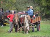 2014.10.11 - HUBERTUS 2014