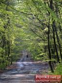 2015.05.01-03 - MIĘDZYZDROJE