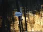 2014.11.02 - ŁAGÓW JESIENIĄ