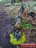 2015.05.01-03 - MIĘDZYZDROJE