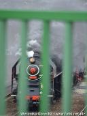 2014.05.03-04 - DNI ZIEMI WOLSZTYŃSKIEJ