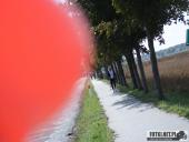 2019.10.06 - CHARYTAWTYNIE  - W RYTMIE SERCA DLA ZOSI część 5