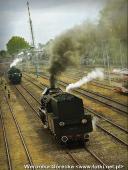 2014.05.03-04 - DNI ZIEMI WOLSZTYŃSKIEJ