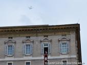 2014.08.23-30 - RZYM