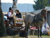 2014.09.07 - DOŻYNKI CHORZEMIN 2014