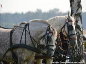 2014.09.07 - DOŻYNKI CHORZEMIN 2014