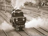 2014.05.03-04 - DNI ZIEMI WOLSZTYŃSKIEJ