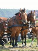 2014.09.07 - DOŻYNKI CHORZEMIN 2014