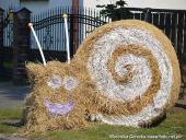 2014.09.07 - DOŻYNKI CHORZEMIN 2014