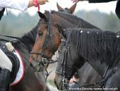 2014.10.11 - HUBERTUS 2014