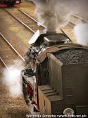 2014.05.03-04 - DNI ZIEMI WOLSZTYŃSKIEJ