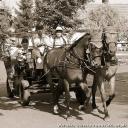 2014.09.07 - DOŻYNKI CHORZEMIN 2014