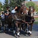 2014.09.07 - DOŻYNKI CHORZEMIN 2014