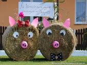 2014.09.07 - DOŻYNKI CHORZEMIN 2014