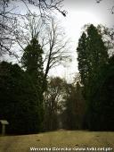 2014.11.23 - ARBORETUM W KÓRNIKU