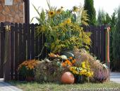 2014.09.07 - DOŻYNKI CHORZEMIN 2014