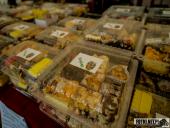 2025.06.01 - FESTYN CHARYTATYWNY - cz. 1