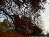 2014.11.23 - ARBORETUM W KÓRNIKU